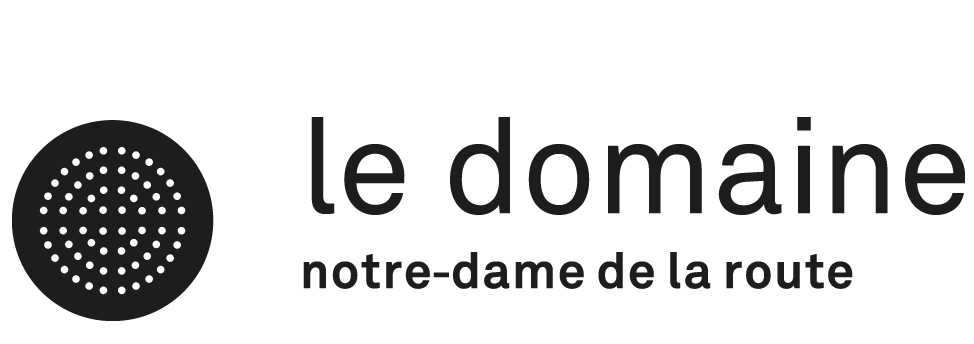 logo domaine