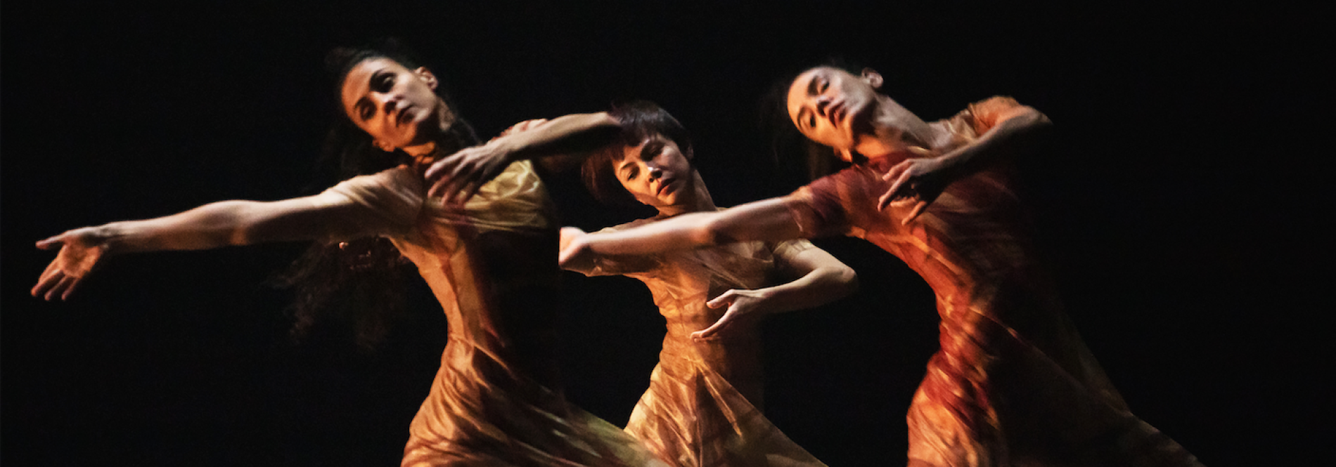 sao paul dance company