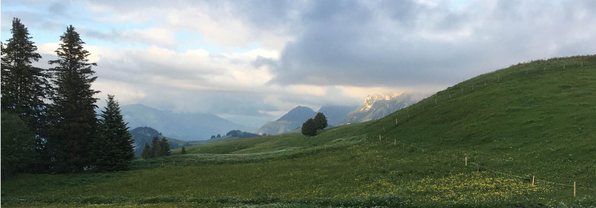 Une image de paysage