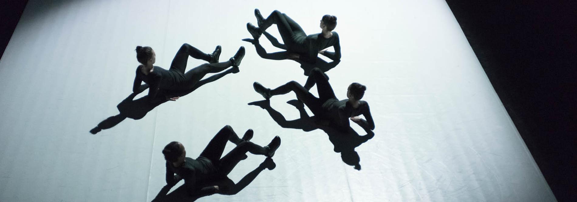 Une image des danseur·euses sur scène