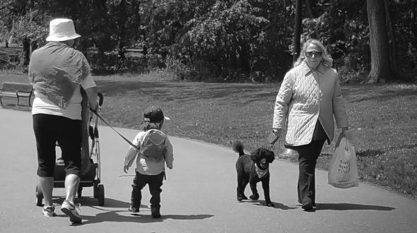 Spectacles EquilibreNuithonie