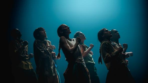 STEPS : Shechter II