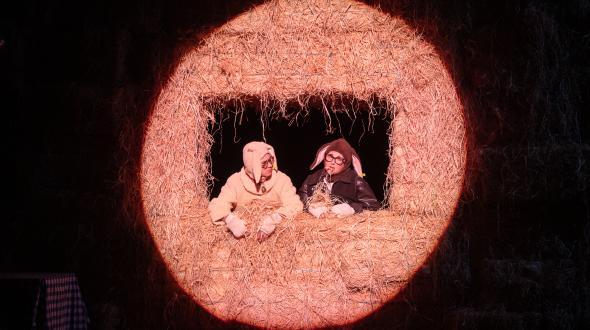 Théâtre - une image des comédiennes sur scène