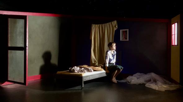 Théâtre - image du spectacle La Métamorphose