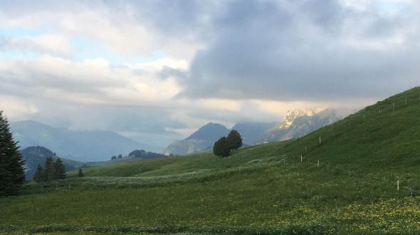 Une image de paysage