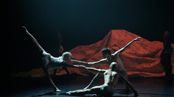 Une image des danseur·euses sur scène