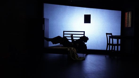 Théâtre - image du spectacle La Métamorphose