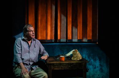 Une image du spectacle le Poisson Scorpion